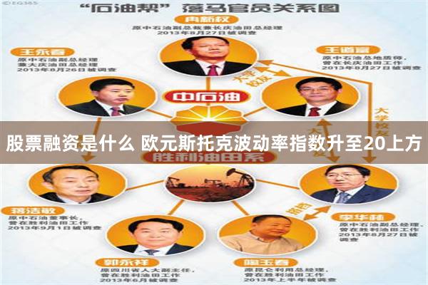 股票融资是什么 欧元斯托克波动率指数升至20上方