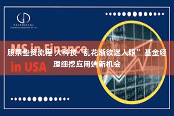 股票垫资流程 大科技“乱花渐欲迷人眼” 基金经理细挖应用端新机会