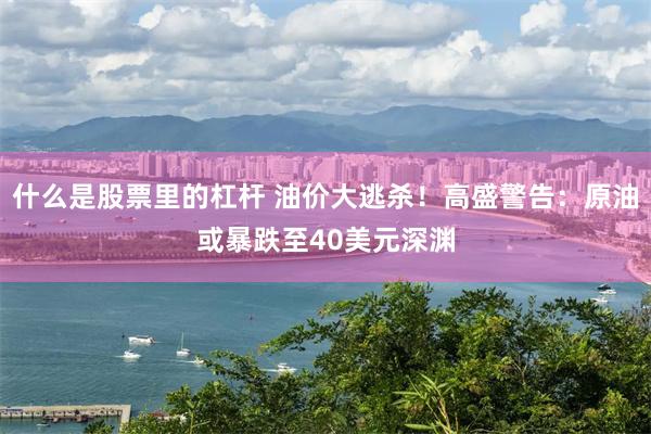 什么是股票里的杠杆 油价大逃杀！高盛警告：原油或暴跌至40美元深渊