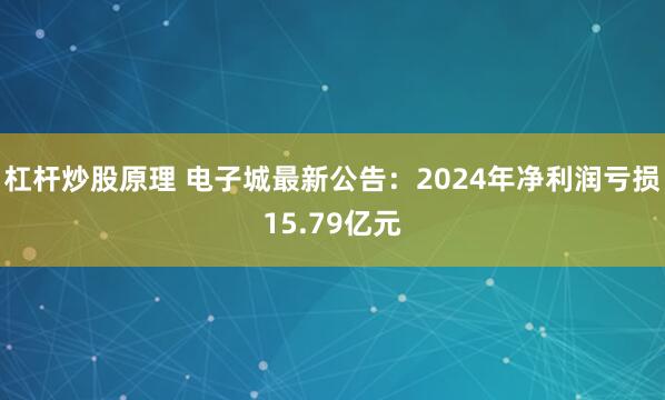 杠杆炒股原理 电子城最新公告：2024年净利润亏损15.79亿元