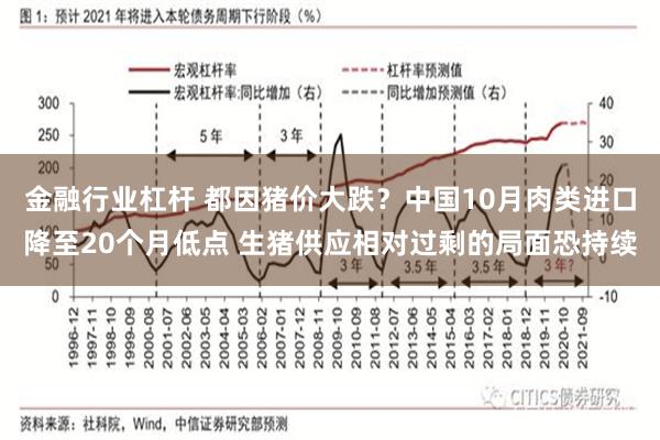 金融行业杠杆 都因猪价大跌？中国10月肉类进口降至20个月低点 生猪供应相对过剩的局面恐持续