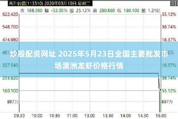 炒股配资网址 2025年5月23日全国主要批发市场澳洲龙虾价格行情