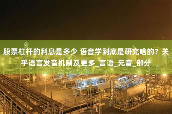 股票杠杆的利息是多少 语音学到底是研究啥的？关乎语言发音机制及更多_言语_元音_部分