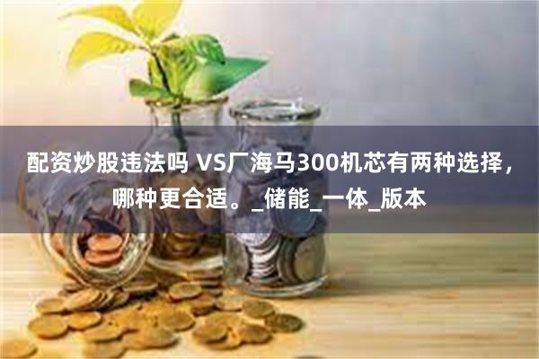 配资炒股违法吗 VS厂海马300机芯有两种选择，哪种更合适。_储能_一体_版本